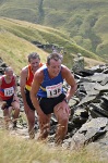 Click on thumbnail for larger photo